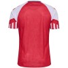 Maillot de Supporter Danemark Domicile 2023 Pour Homme